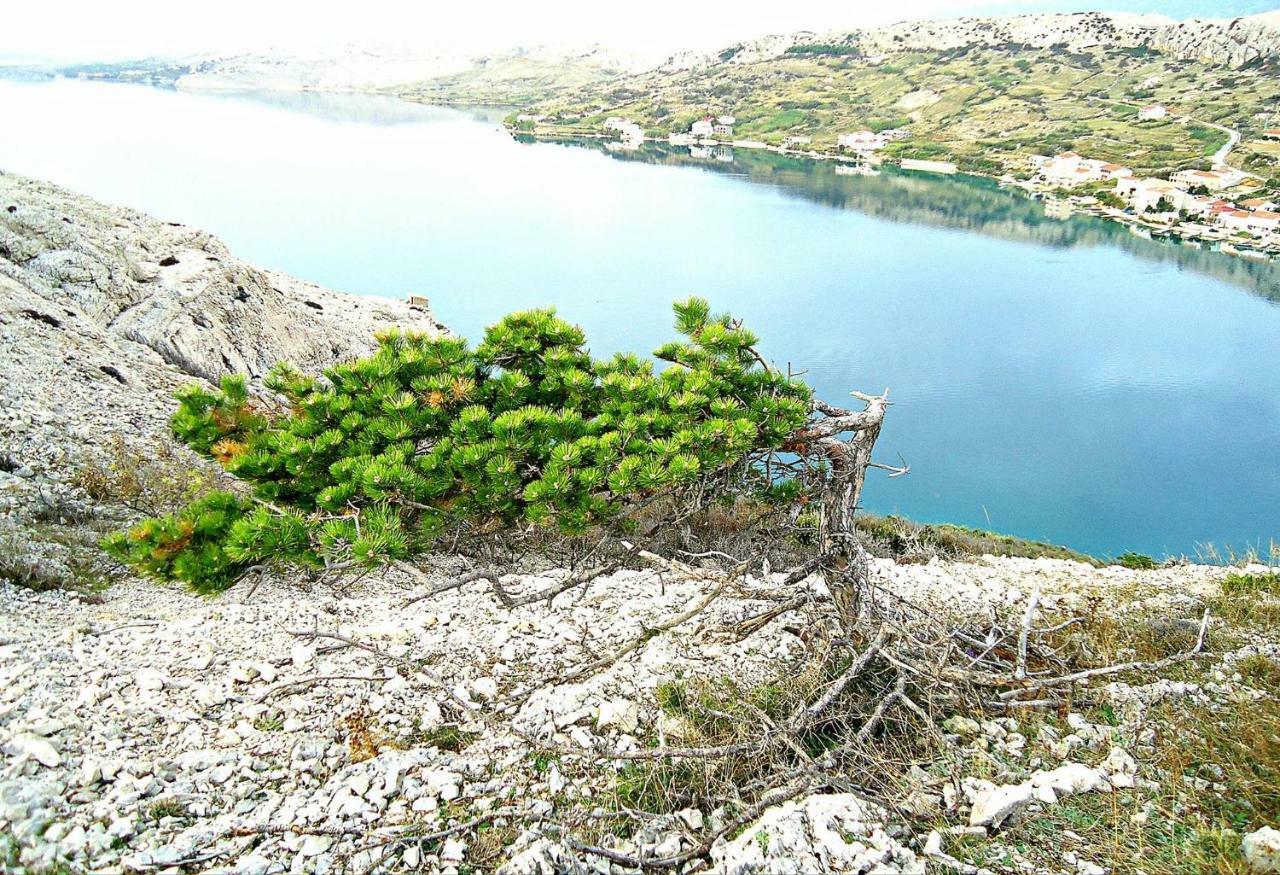Apartmani Dalmatinka Metajna Exteriér fotografie
